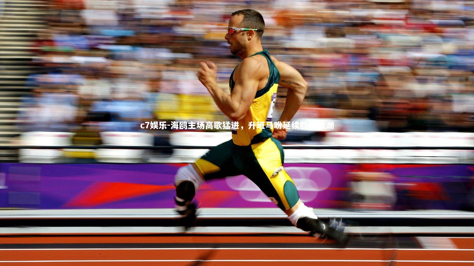 海鸥主场高歌猛进，升班马盼延续胜利浪潮